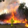 Sohealthy-post-bush-fire-featured-image
