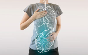 Sohealthy-healthy-tips-immune-system