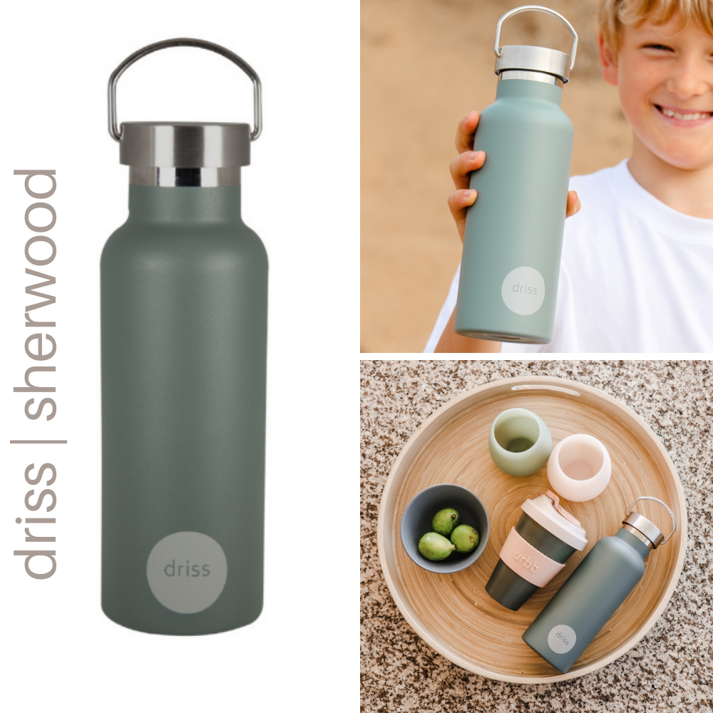 driss sherwood stainless steel water bottle porter green