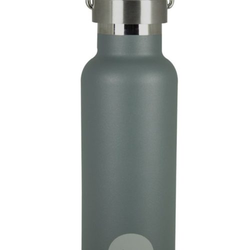 driss sherwood stainless steel water bottle porter green