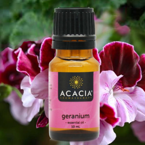 Geranium pure essential oil from Acacia