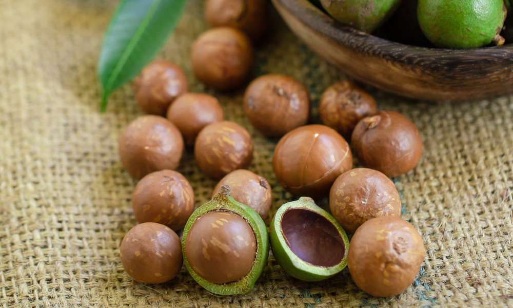 macadamia-nut-oil-health-benefits-skincare-healthcare