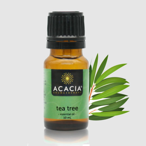 tea tree pure essential oil from Acacia
