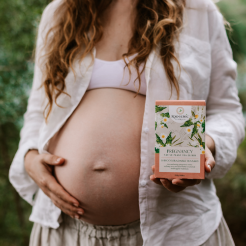 pregnancy tea tea for pregnant women support pregnancy roogenics